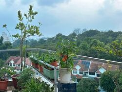 Park Natura (D23), Condominium #604706641